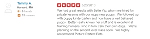 What kind of dog trainer is Bette Yip? See what previous students say!