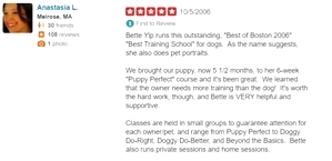 What kind of dog trainer is Bette Yip? See what previous students say!