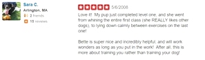 What kind of dog trainer is Bette Yip? See what previous students say!