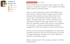 What kind of dog trainer is Bette Yip? See what previous students say!