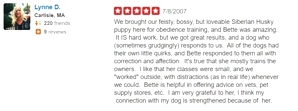 What kind of dog trainer is Bette Yip? See what previous students say!