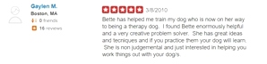 What kind of dog trainer is Bette Yip? See what previous students say!