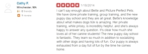 What kind of dog trainer is Bette Yip? See what previous students say!